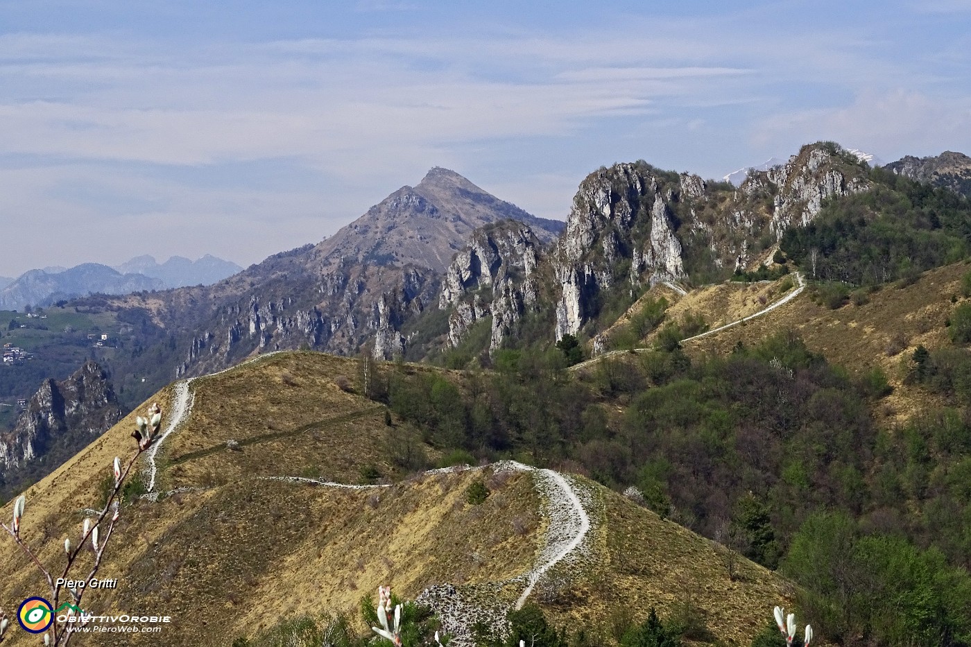 57 Traccia tagliafuoco verso i monti tra Val Serina e Val Brembana.JPG -                                